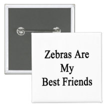 Zebras Are My Best Friends Pin