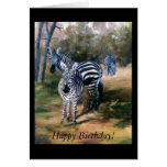 Zebras Cards
