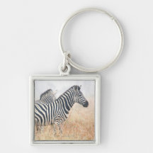 Zebras in early morning dust, Kruger National 2 Keychains