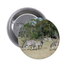 Zebras Pin