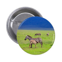 Zebras Pin