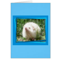 Zeke the Hedgehog Greeting Card