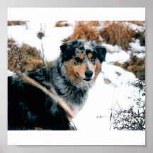 Zena Print