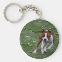 Ziggy in Chase Keychain