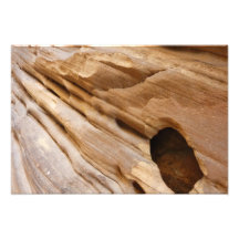 Zion Canyon Wall Photo Print