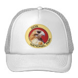 Zion National Park Mesh Hats