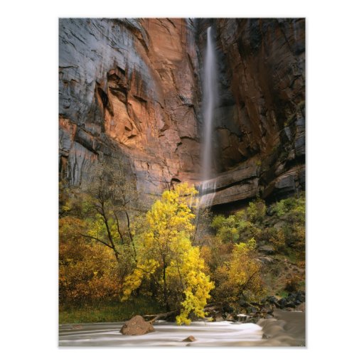 Zion National Park, Utah. USA. Ephemeral Photographic Print