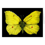 Zitronenfalter Greeting Card