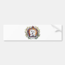 Zoe Bumper Stickers