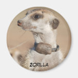 Zorilla Magnet