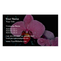 Zuma firefly  flowers business cards