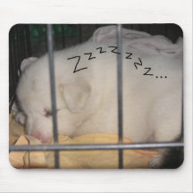 ZzZzZzZz, ...sleeping puppy mousepad