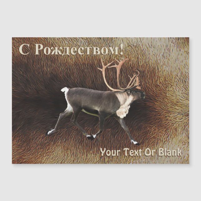 С Рождеством - Bull Caribou (Reindeer) (Front)