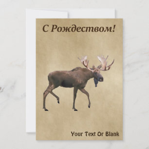 С Рождеством - Bull Moose On Old Paper