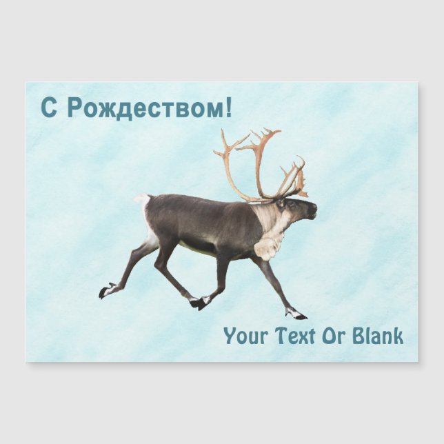 С Рождеством - Caribou (Reindeer) On Snow (Front)