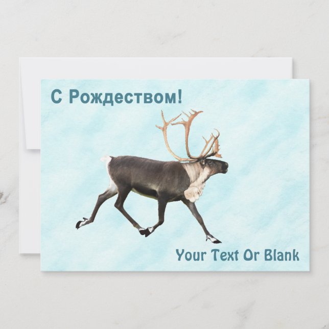 С Рождеством - Caribou (Reindeer) On Snow  (Front)