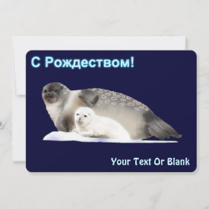 С Рождеством  - Ringed Seal Holiday Card