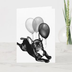 С днём рождения! Birthday French Bulldog card