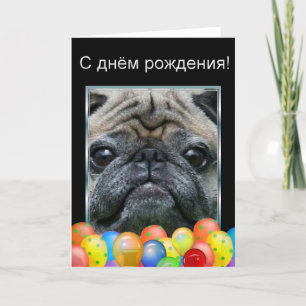 С днём рождени Happy Birthday Pug Dog  card