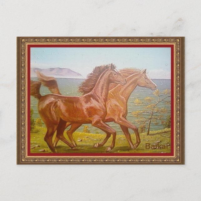 лошади на Байкале Postcard (Front)