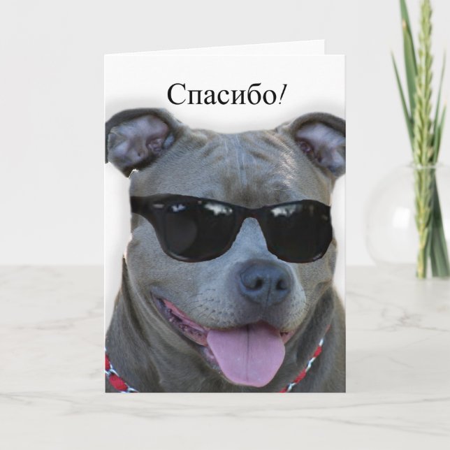 спасибо Russian Thank you Pitbull greeting card (Front)