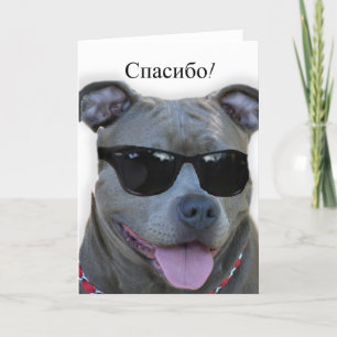 спасибо Russian Thank you Pitbull greeting card