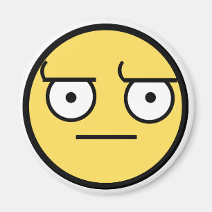 ಠ_ಠ Look of Disapproval Magnet