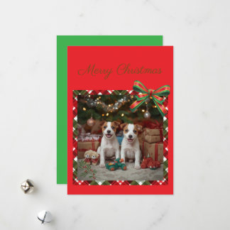 かわいいジャックラッセルテリアの子犬たちとクリスマス♡ HOLIDAY CARD