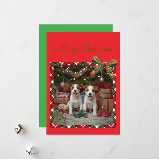 かわいいジャックラッセルテリアの子犬たちとクリスマス♡ HOLIDAY CARD (Front/Back In Situ)