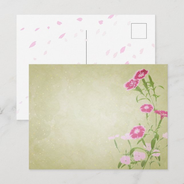 やさしさを届ける＊撫子のポストカード POSTCARD (Front/Back)