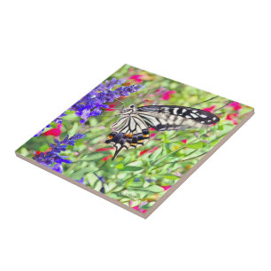 アゲハチョウ タイル CERAMIC TILE