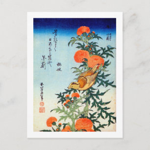 アザミに小鳥, 北斎 Bird and Thistle, Hokusai, Ukiyo-e Postcard
