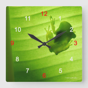アマガエルのシルエットの壁掛け時 SQUARE WALL CLOCK