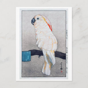 オオバタン・オウム, Salmon-crested cockatoo, Yoshida Postcard