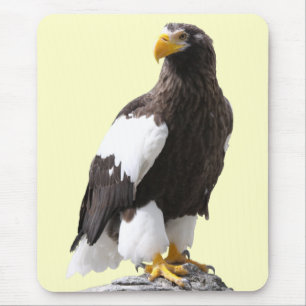 オオワシのマウスパッド,No.06 Mouse Pad