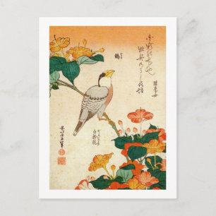 オシロイバナに小鳥, 北斎 Bird and Mirabilis Jalapa, Hokusai Postcard