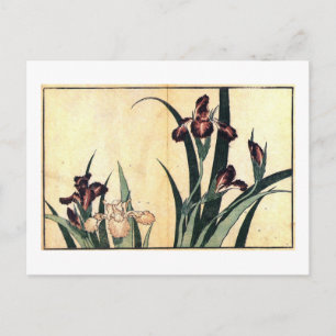 カキツバタ, 北斎 Irises, Hokusai, Ukiyo-e Postcard
