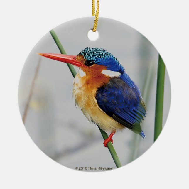 カワセミの優良製品 CERAMIC TREE DECORATION (Front)