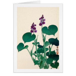 ギボウシの花, 古邨 Purple Flowering Hosta, Ohara Koson