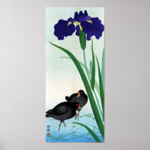 クイナとアヤメ, 古邨 Moorhens and Iris, O Poster