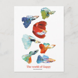 グッピー・グッズ POSTCARD