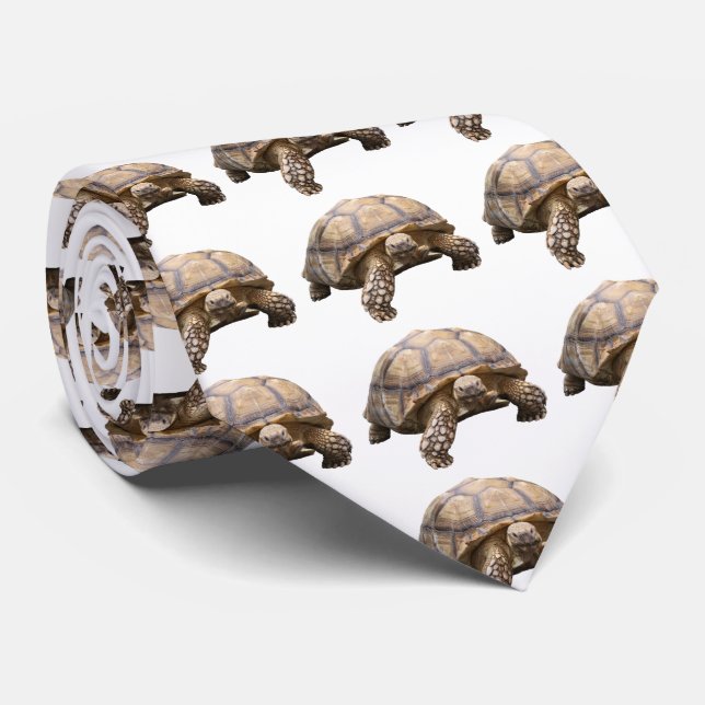 ケヅメリクガメのネクタイ 2 TIE (Rolled)