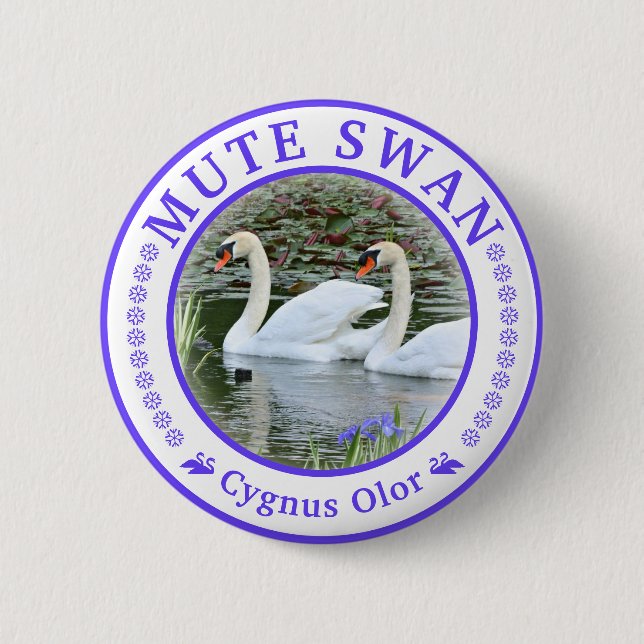 コブハクチョウ 缶バッジ 6 CM ROUND BADGE (Front)