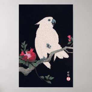ザクロにオウム, 小原古邨 Cockatoo on Po Poster
