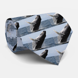 ザトウクジラ TIE
