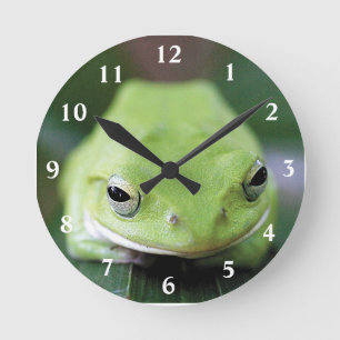 シュレーゲルアオガエルの掛け時計,No.02 Round Clock