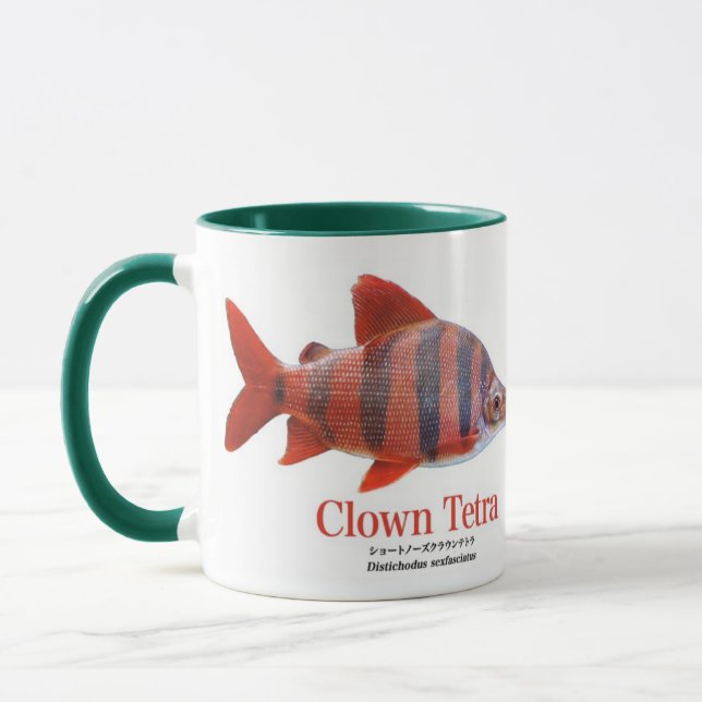 ショート・ノーズ・クラウン・テトラ MUG (Left)