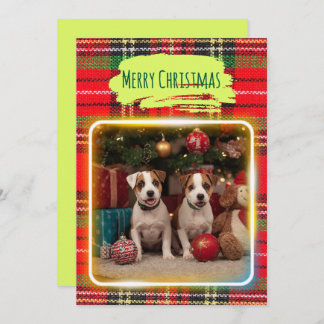 チェック柄がかわいいジャックラッセルテリアの子犬たちとクリスマス♡  HOLIDAY CARD