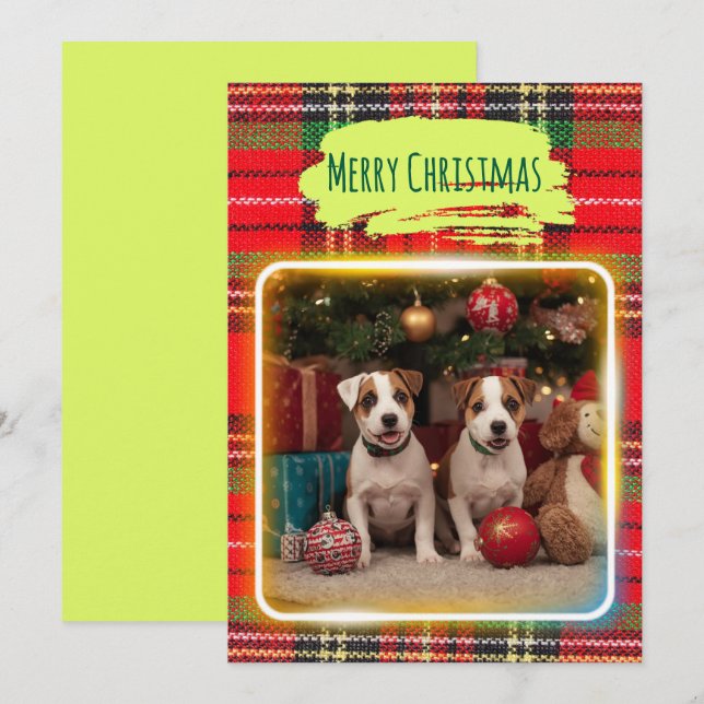チェック柄がかわいいジャックラッセルテリアの子犬たちとクリスマス♡  HOLIDAY CARD (Front/Back)