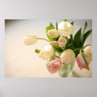 チューリップ POSTER